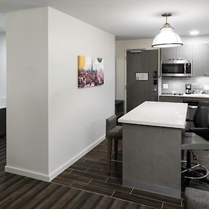 One-Bedroom King Suite Sofa Bed Kitchen